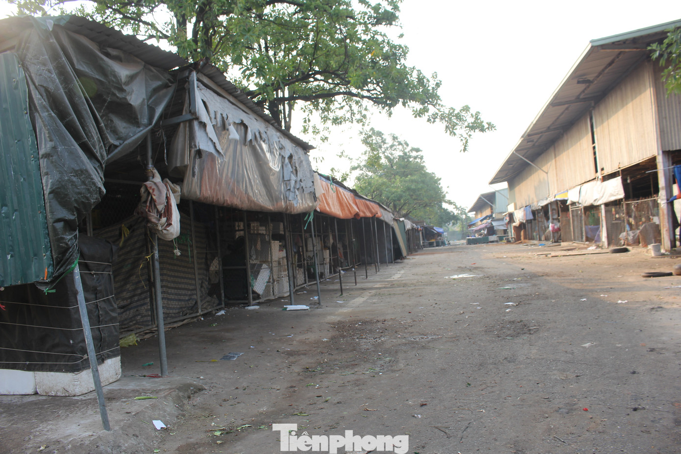 Ghi nhận thực tế, mặc dù là chợ hạng 1 nhưng cơ sở hạ tầng tại Chợ đầu mối Minh Khai khá xập xệ, xuống cấp nghiêm trọng.