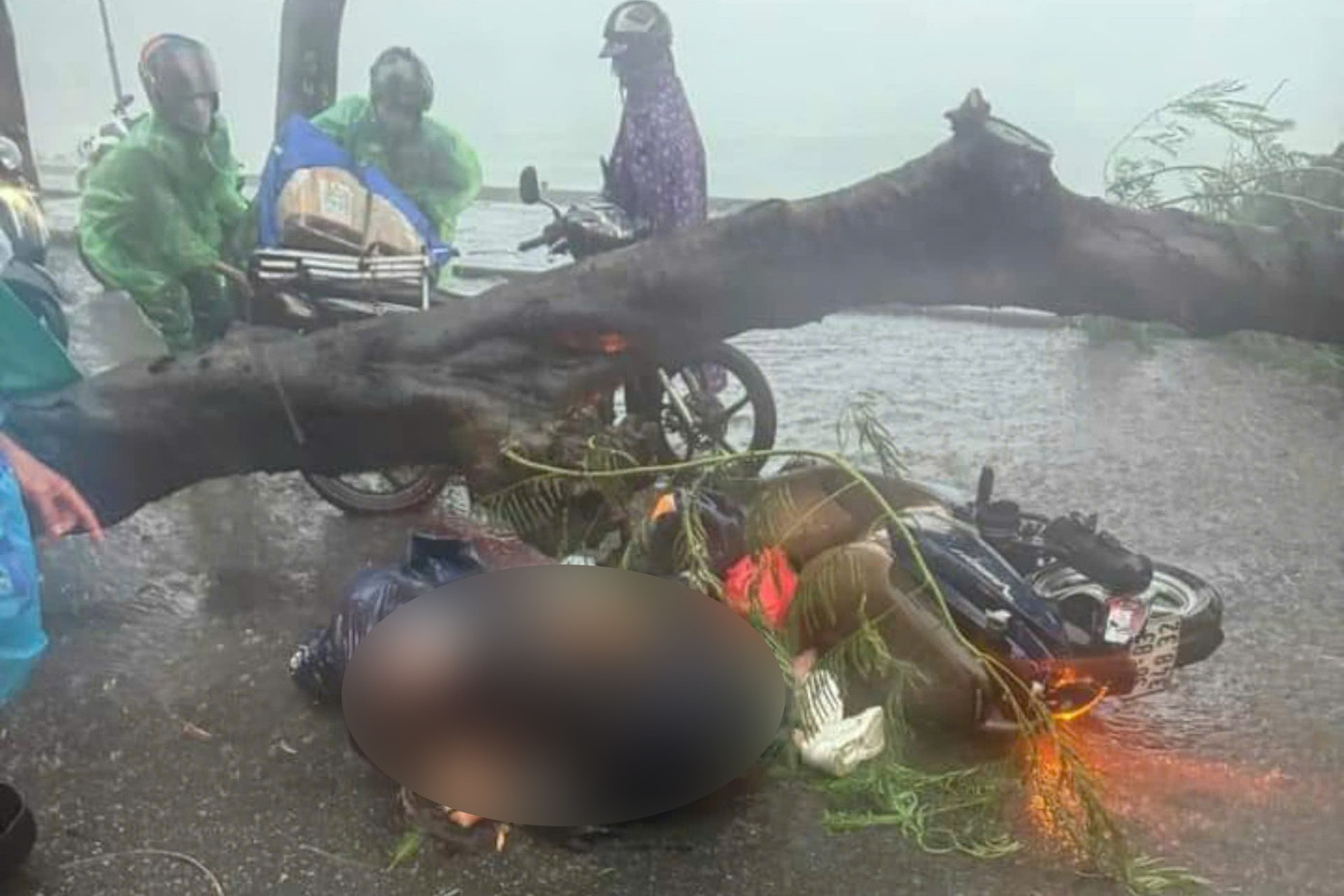 Hai người đi xe máy bị cây bật gốc đè trúng người. Một người bị thương, một người được cơ quan chức năng xác định tử vong. Ảnh: CTV.