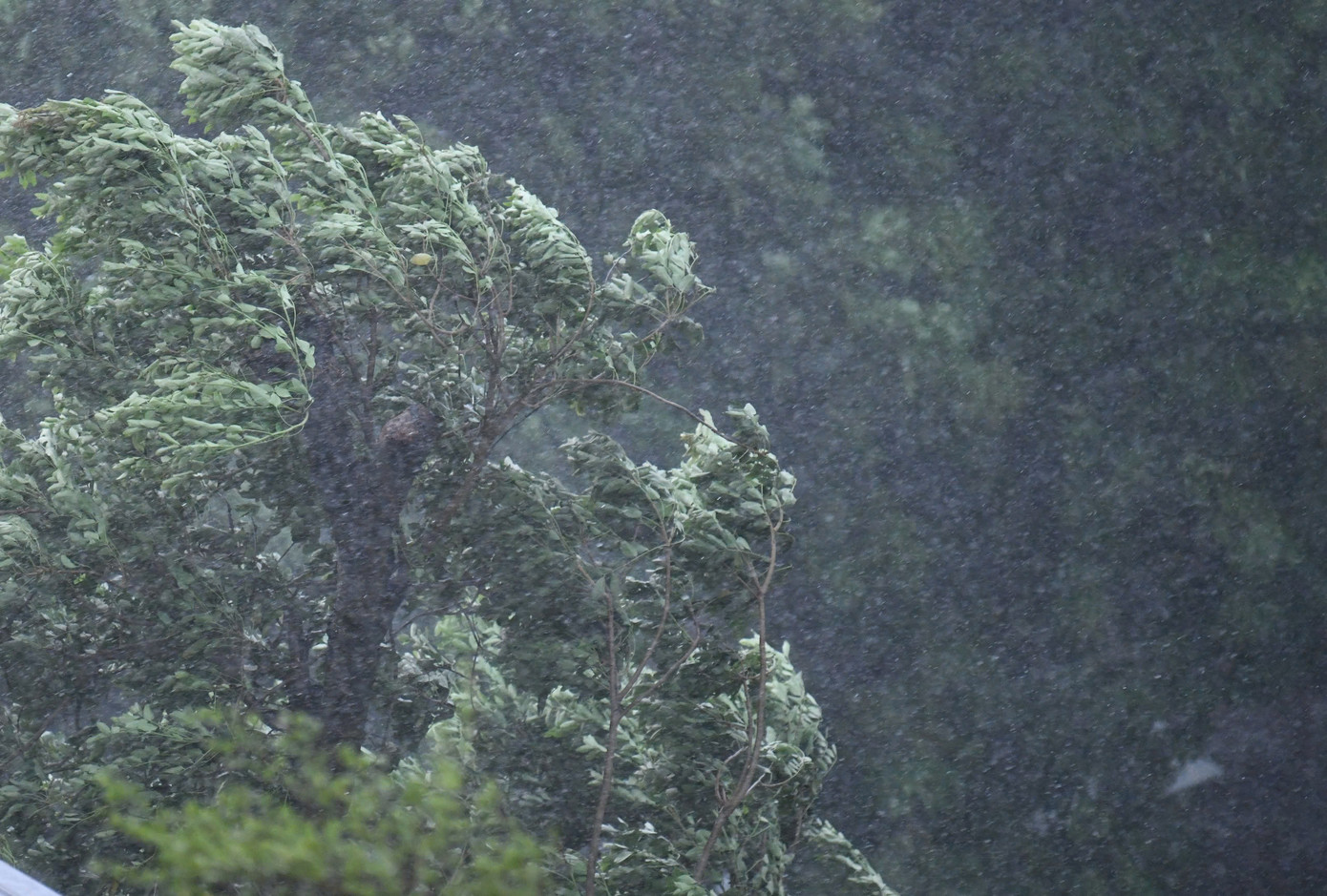 Siêu bão YAGI đã vào vịnh Bắc Bộ, cách Quảng Ninh hơn 200km ảnh 7