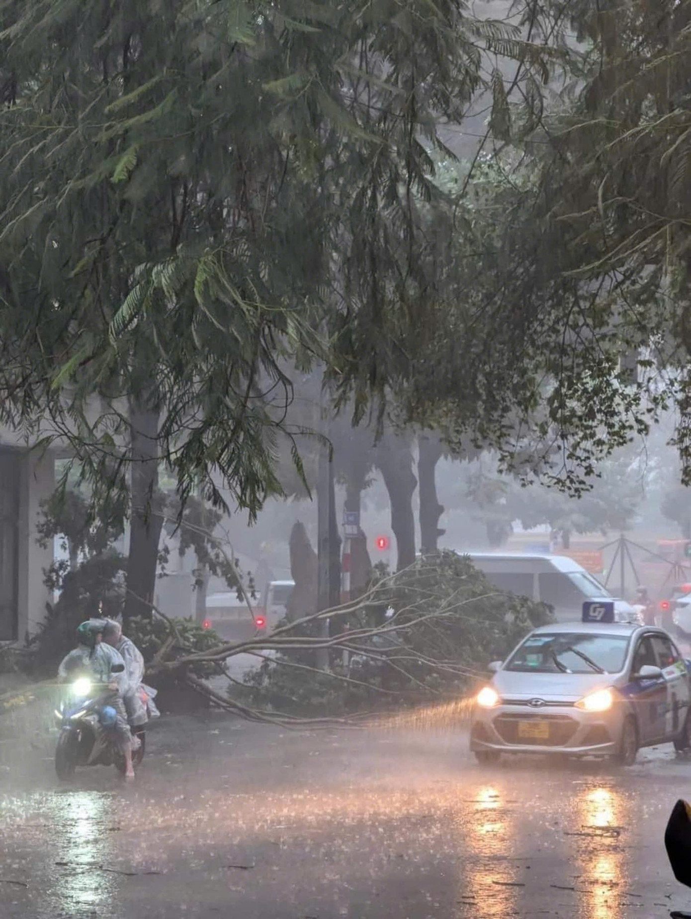 Siêu bão YAGI đã vào vịnh Bắc Bộ, cách Quảng Ninh hơn 200km ảnh 11