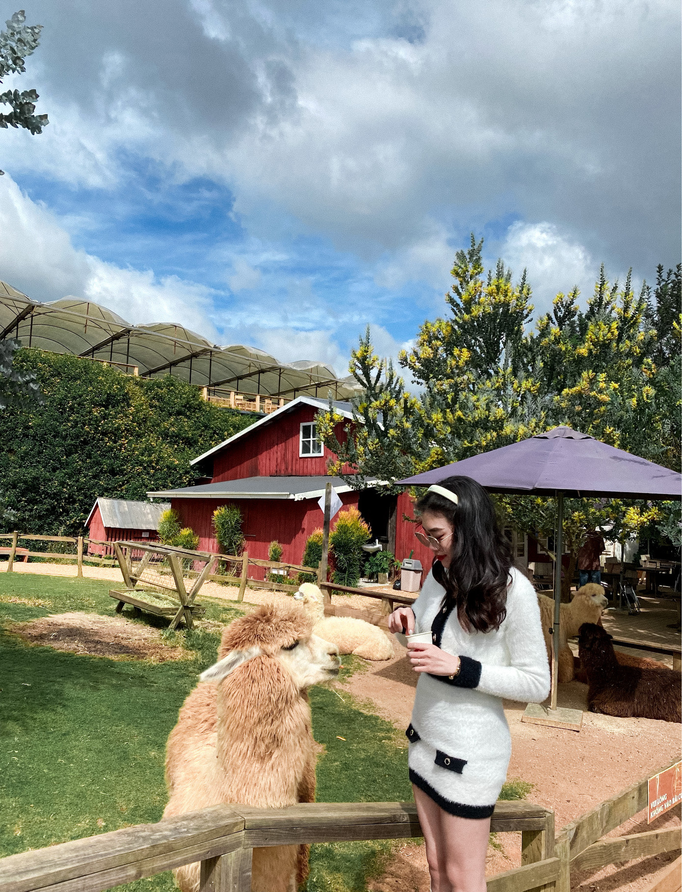 Cô nàng du lịch Đà Lạt hồi tháng 11 năm 2022. Cô nàng du lịch Đà Lạt hồi tháng 11 năm 2022.