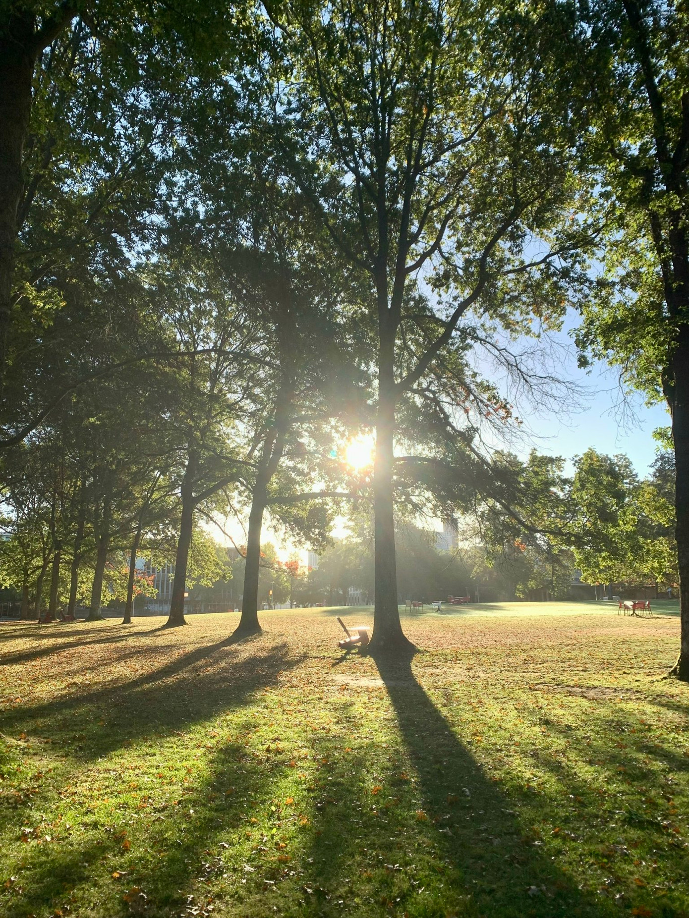 " Sân trường UVic một sáng ban mai” - bức ảnh giúp Quỳnh Hương đạt giải trong cuộc thi ảnh “My UVic” tại Trường Đại học Victoria.