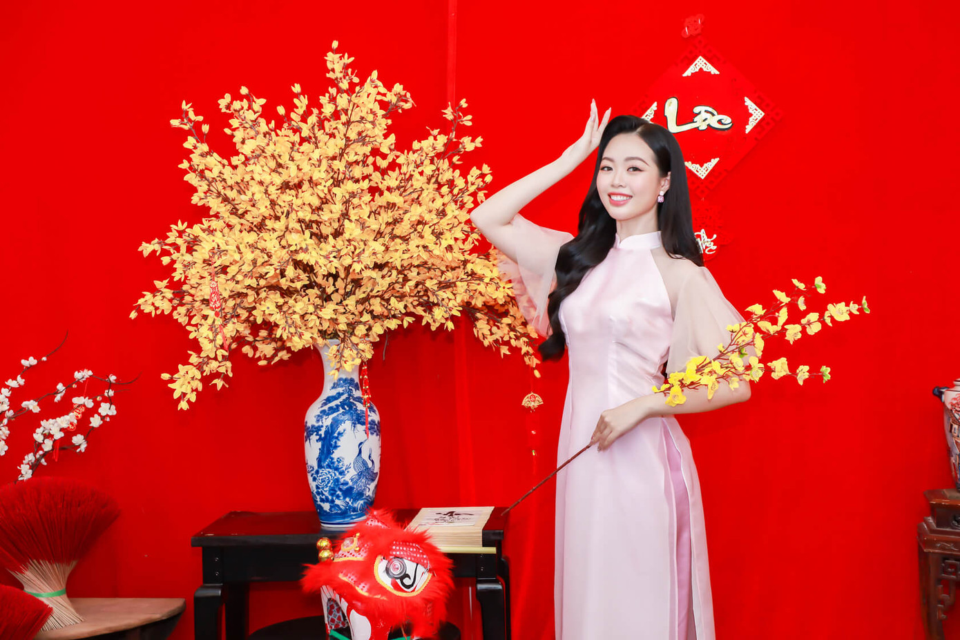 Hoa khôi Lê Phan Ngọc Khánh. Hoa khôi Lê Phan Ngọc Khánh.