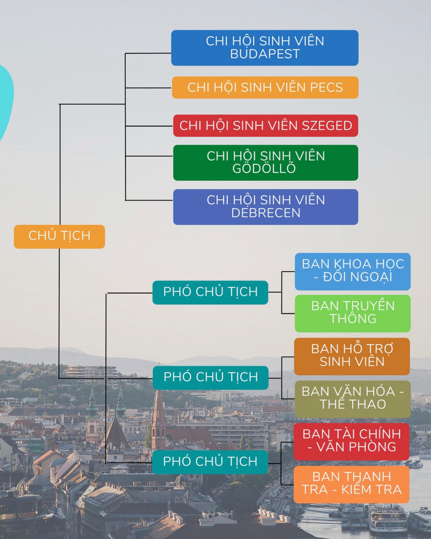 Cơ cấu tổ chức của Hội Sinh viên Việt Nam tại Hungary. Cơ cấu tổ chức của Hội Sinh viên Việt Nam tại Hungary.