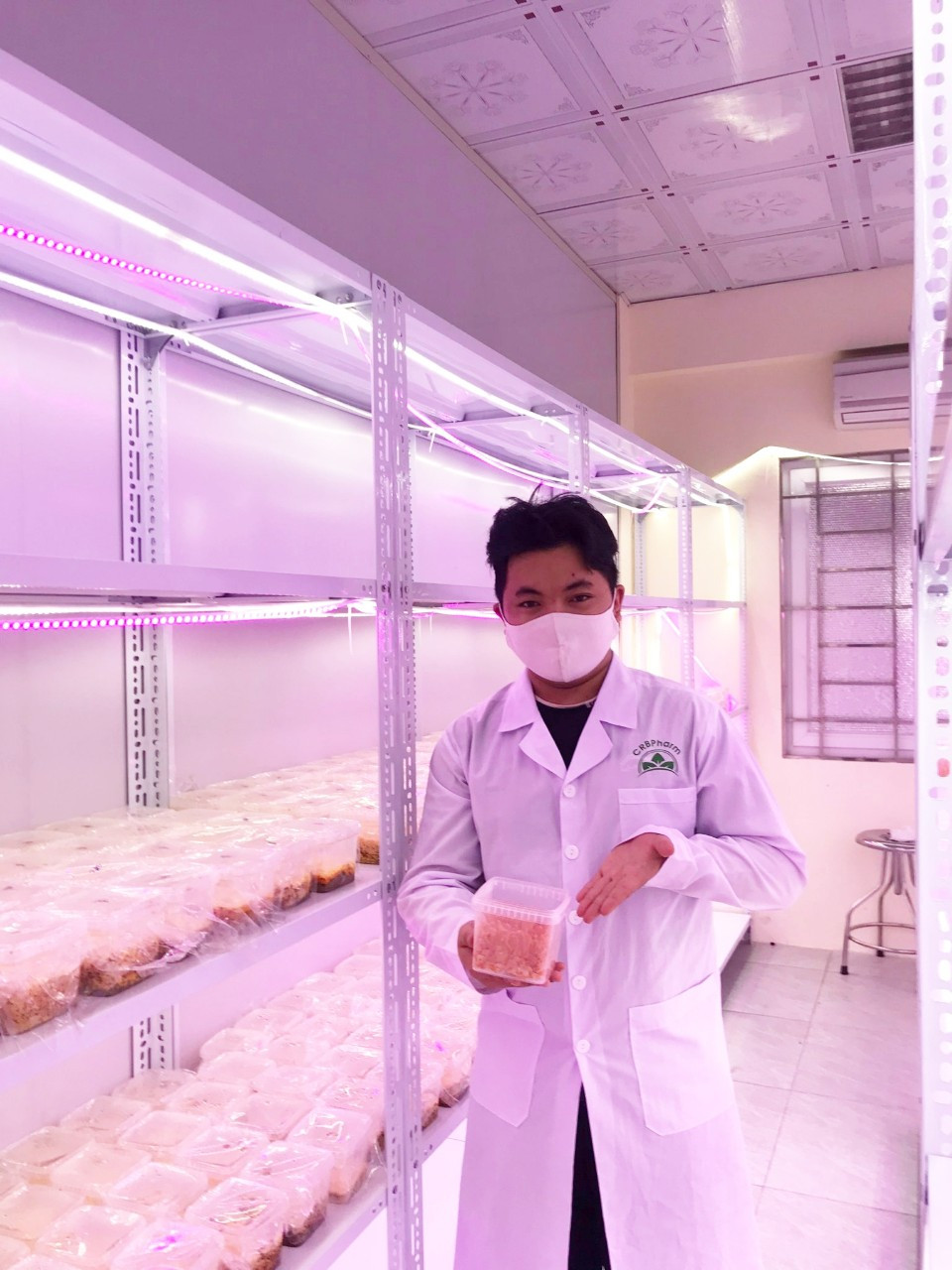 Cậu làm cho trung tâm nuôi cấy đông trùng hạ thảo của trường. Cậu làm cho trung tâm nuôi cấy đông trùng hạ thảo của trường.