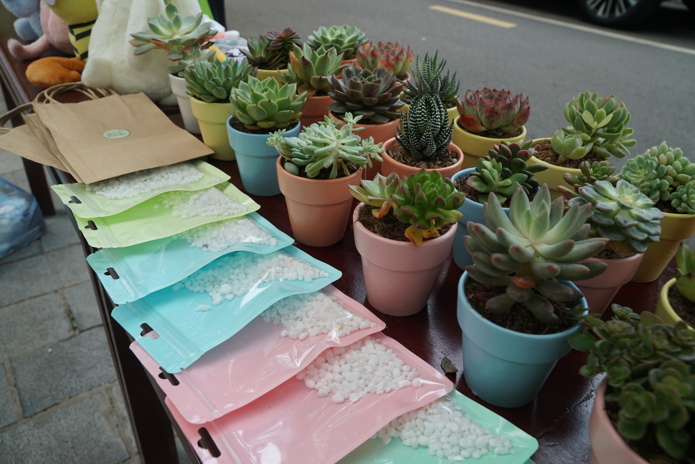 Nhiều loại cây được ban tổ chức chuẩn bị.