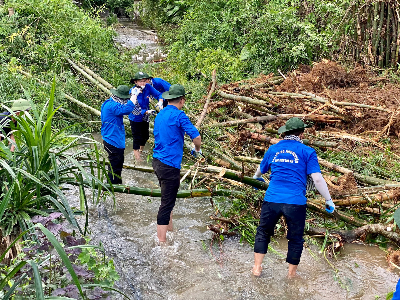 Trong chiến dịch, các bạn sinh viên được góp sức trẻ trong việc thực hiện các công trình, phần việc mang lại giá trị và ý nghĩa cho cộng đồng.