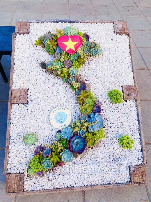 Hình ảnh sản phẩm hoa Sen đá sáng tạo.