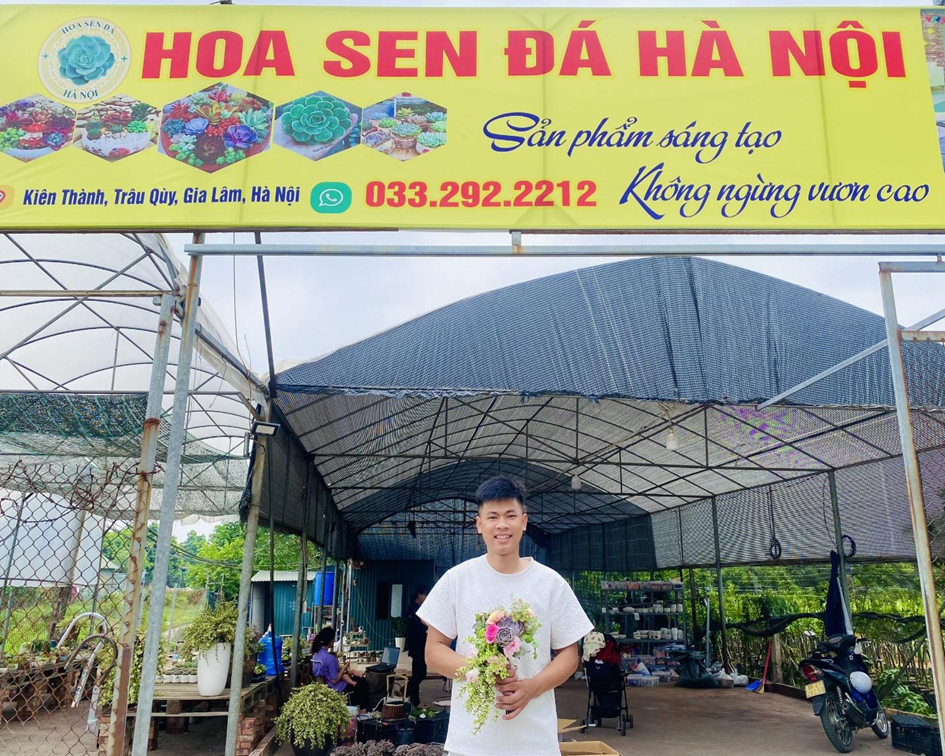 Vườn Hoa sen đá Hà Nội.