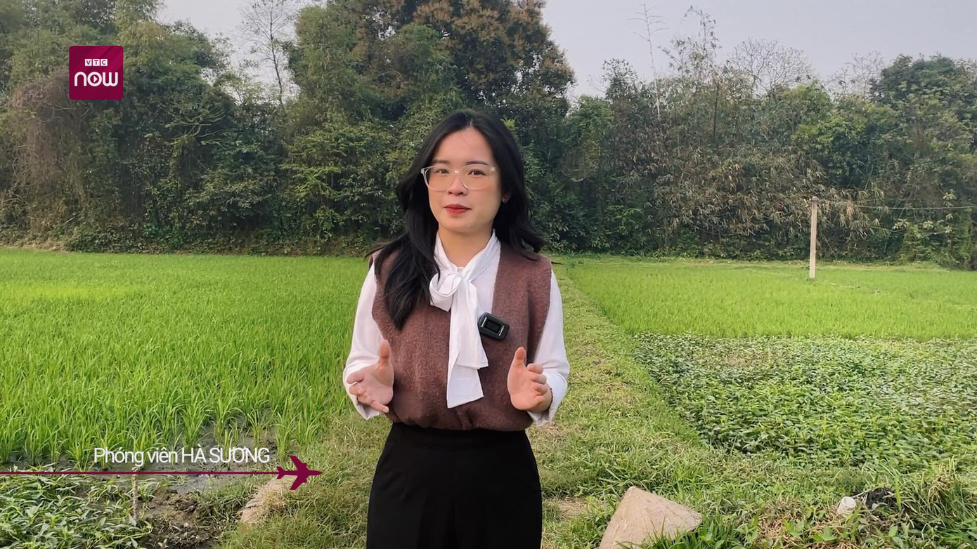 Vi Hồng Hà Sương (2000), hiện đang làm việc tại VTC Now.