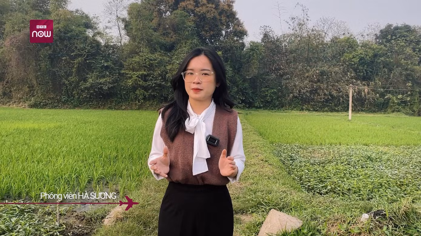 Vi Hồng Hà Sương (2000), hiện đang làm việc tại VTC Now. Vi Hồng Hà Sương (2000), hiện đang làm việc tại VTC Now.