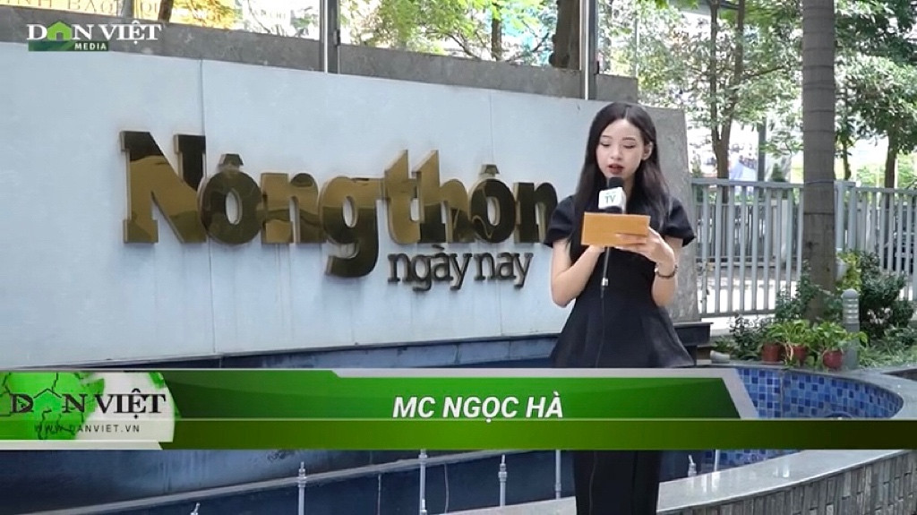 Hoàng Hà với vai trò là MC Báo Dân Việt. Hoàng Hà với vai trò là MC Báo Dân Việt.