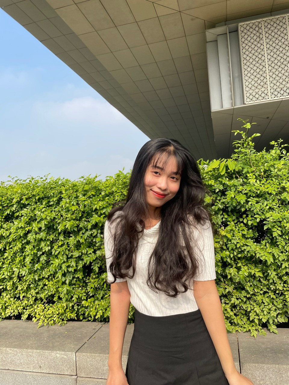 Trần Thùy Linh hiện đang là sinh viên Trường Đại học Kinh tế Quốc dân, chuyên ngành Kinh doanh thương mại.