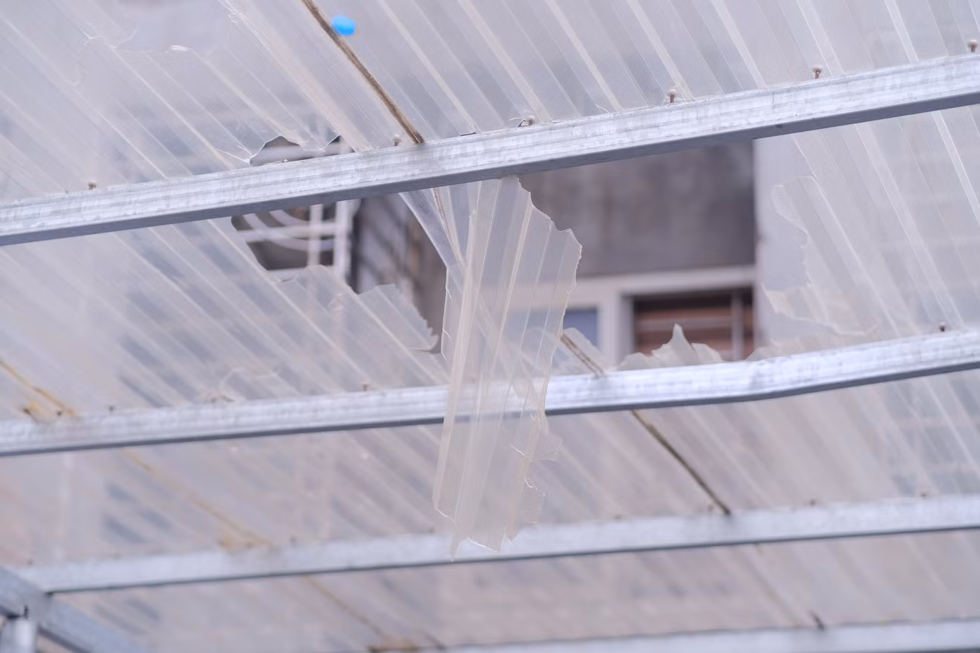 Một nạn nhân nhảy xuống mái lợp trên tầng 5 nhà chị Phượng làm vỡ tấm lợp, rất may nạn nhân chỉ bị xây xước. Ảnh: Lê Vượng Một nạn nhân nhảy xuống mái lợp trên tầng 5 nhà chị Phượng làm vỡ tấm lợp, rất may nạn nhân chỉ bị xây xước. Ảnh: Lê Vượng