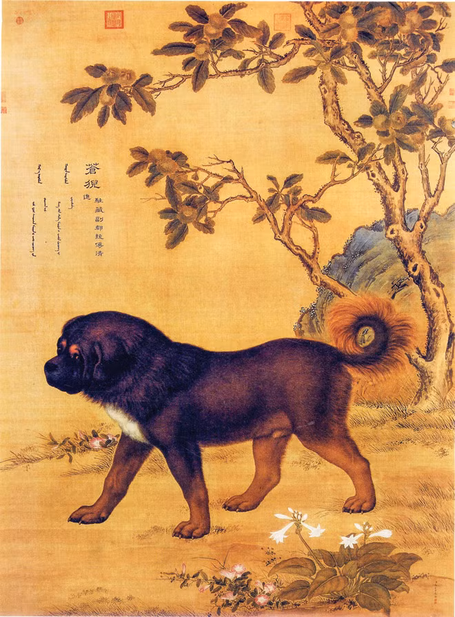 Ðàn chó săn của hoàng đế ảnh 10