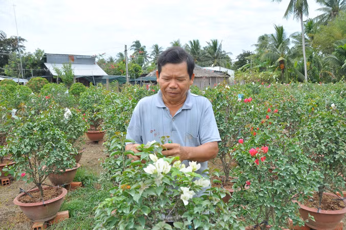 Làng nghề miền Tây vào Tết ảnh 2