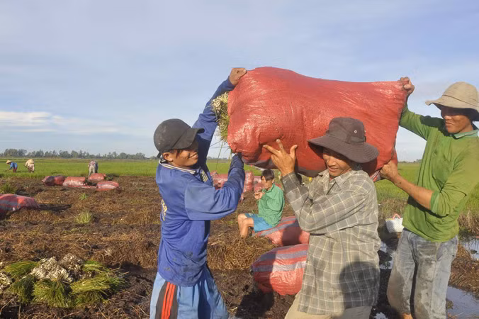 Làng nghề miền Tây vào Tết: Đã nồng nàn mùi Tết ảnh 2