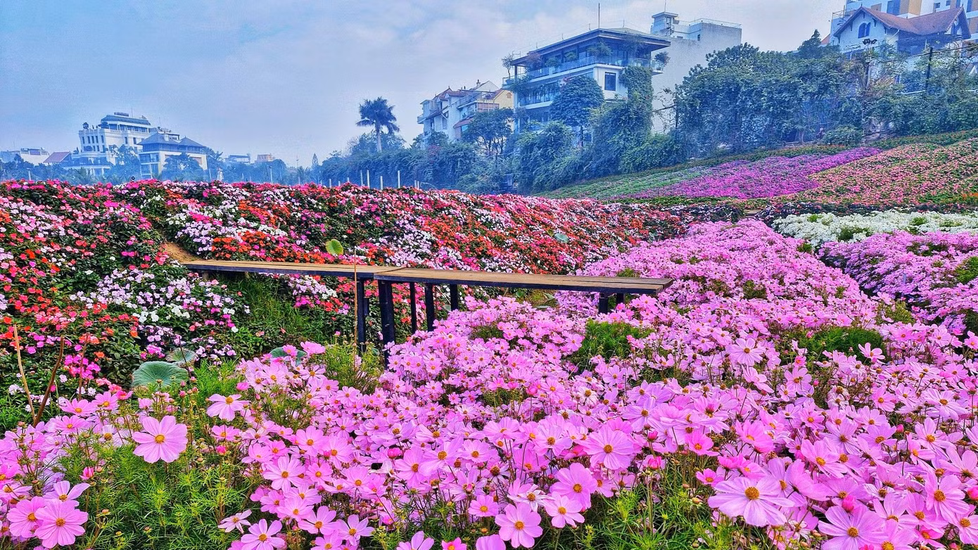 Hơn 28.700m2 đất ở Thung lũng hoa Hồ Tây (quận Tây Hồ, Hà Nội) vừa được đấu giá cho thuê thành công với mức trên 734 triệu đồng/năm.