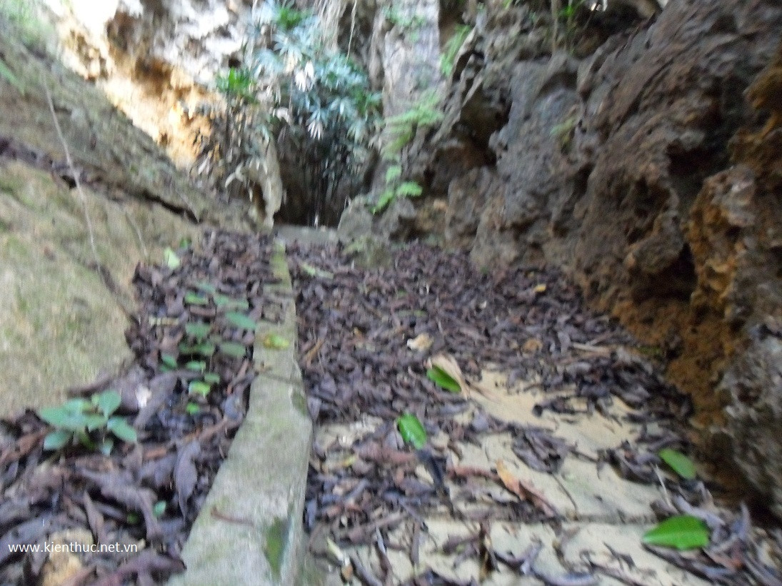 Theo ông Đức, nếu quét hết trang trại của thì cần 4 người làm trong 2 ngày, hỏng khoảng 5 - 6 cái chổi mới xong