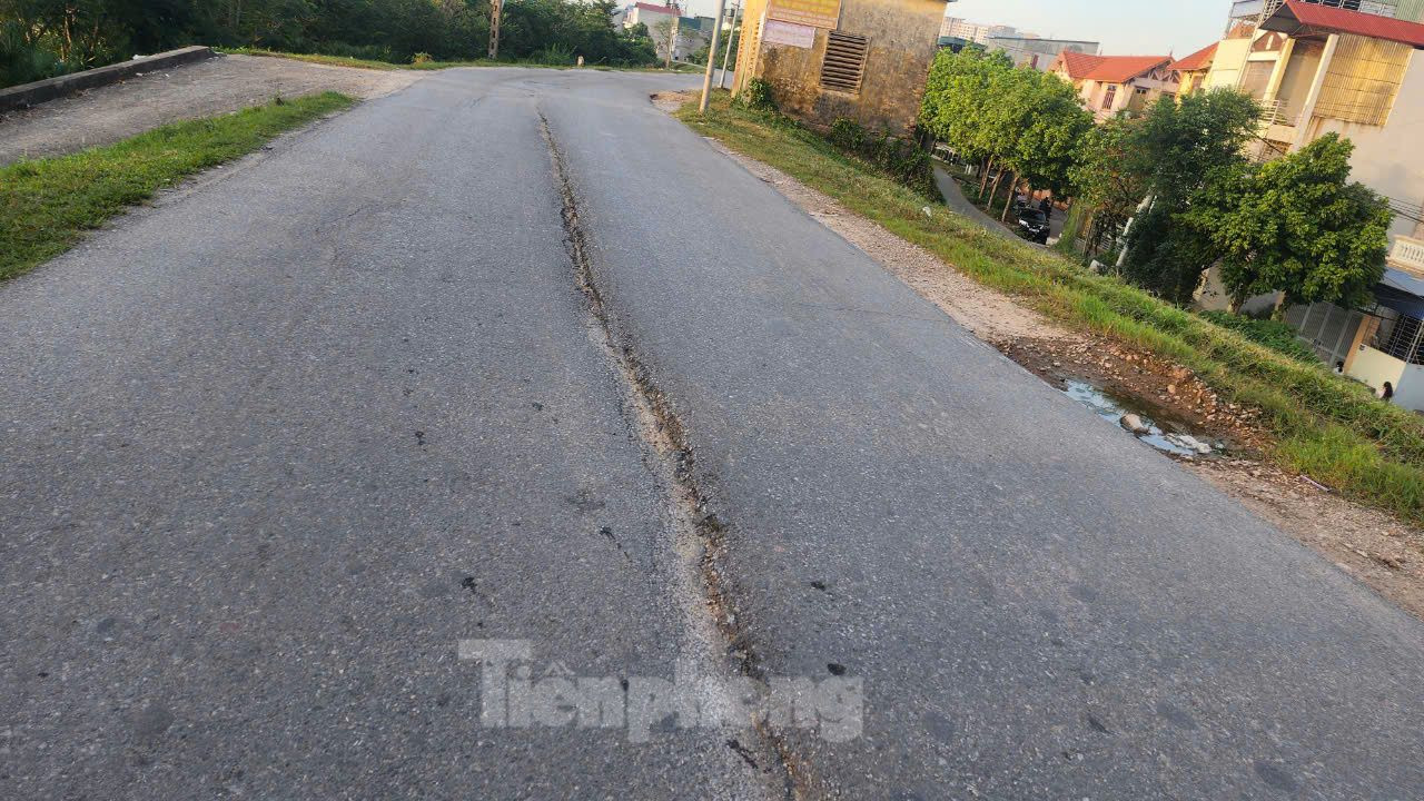 Mặt đê Yên Nghĩa xuất hiện nhiều sống trâu.