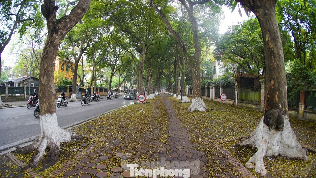 Đường Phan Đình Phùng, có giá đất ở từ 33,1 triệu đồng đến 102 triệu đồng/m2.