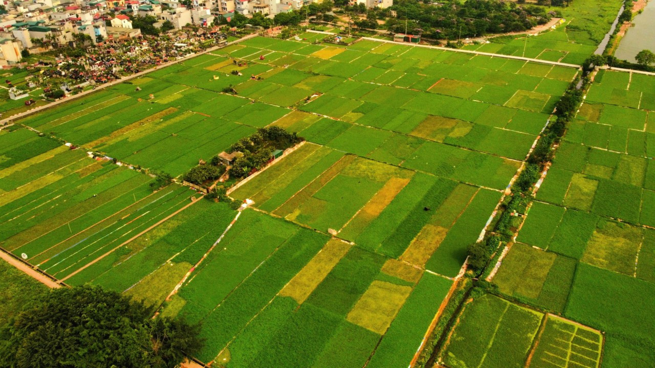 Hà Nội bổ sung 73 dự án thu hồi đất với diện tích 98,59ha Hà Nội bổ sung 73 dự án thu hồi đất với diện tích 98,59ha