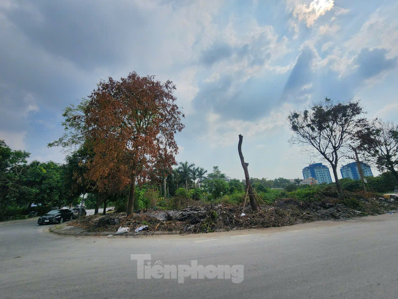 Ông Trần Văn Hoàn, Phó Chủ tịch UBND phường Phương Canh cho biết, khu vực cây bị đốt thuộc Khu đô thị Xuân Phương. Theo ông Hoàn, đơn vị thu gom, xử lý rác thải trên địa bàn là Công ty TNHH MTV Môi trường đô thị Hà Nội (URENCO) - Chi nhánh Cầu Diễn. Ông Trần Văn Hoàn, Phó Chủ tịch UBND phường Phương Canh cho biết, khu vực cây bị đốt thuộc Khu đô thị Xuân Phương. Theo ông Hoàn, đơn vị thu gom, xử lý rác thải trên địa bàn là Công ty TNHH MTV Môi trường đô thị Hà Nội (URENCO) - Chi nhánh Cầu Diễn.