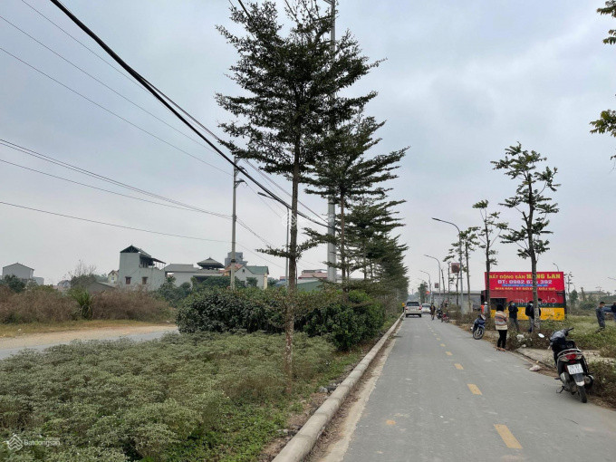 Một khu đất đấu giá tại huyện Quốc Oai