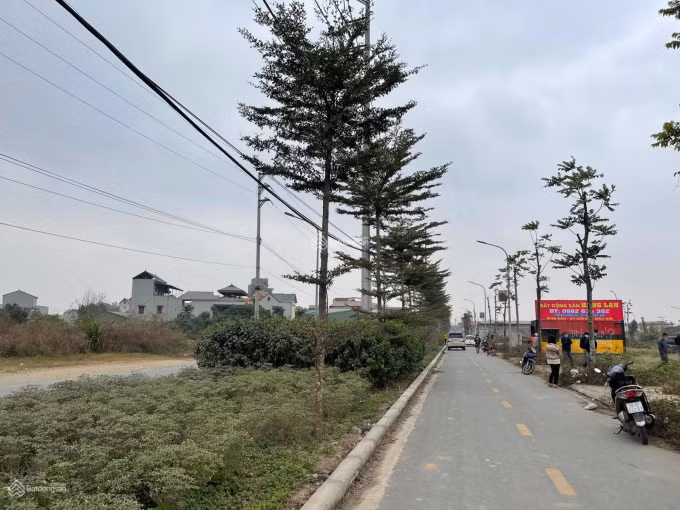 Một khu đất đấu giá tại huyện Quốc Oai