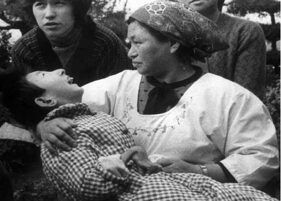 Những con mèo hóa điên vì ngộ độc thủy ngân ảnh 1