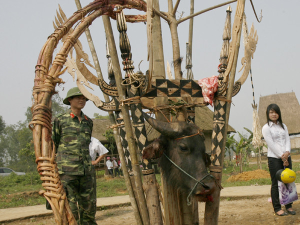 Đầu trâu được dùng để tế thần