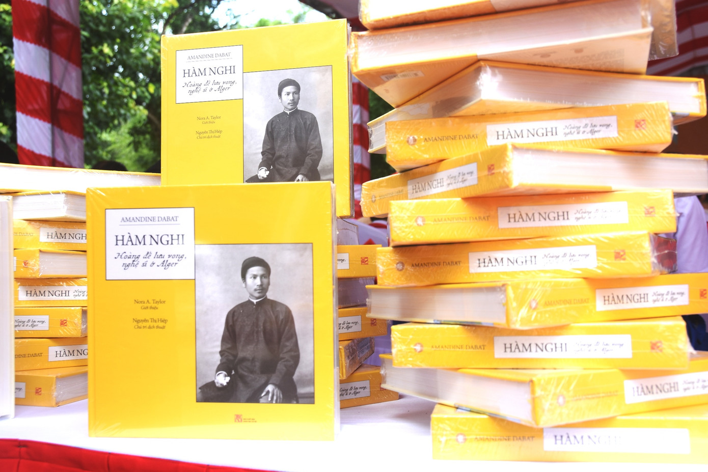 Cuốn sách Hàm Nghi: Hoàng đế lưu vong - nghệ sỹ ở Alger. Cuốn sách Hàm Nghi: Hoàng đế lưu vong - nghệ sỹ ở Alger.