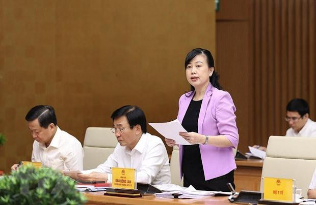 Quyền Bộ trưởng Bộ Y tế Đào Hồng Lan báo cáo tại phiên họp (ảnh TTXVN)