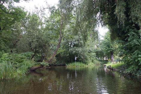 9 địa điểm nghi ẩn giấu 37 tỷ USD châu báu thời Đức Quốc xã ảnh 9