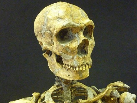 Trái với quan niệm thông thường, người sở hữu bộ não lớn hơn và có thể thông minh hơn người hiện đại. Ảnh: BBC