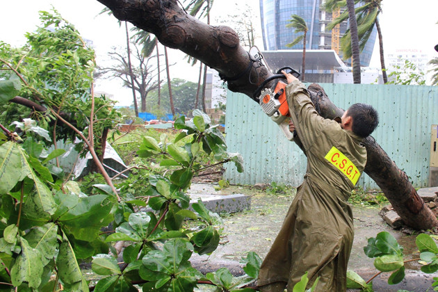 Ảnh: VGP/Hồng Hạnh