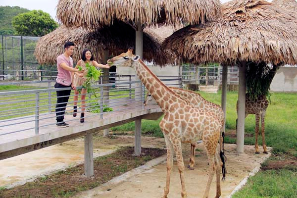 Khách sạn Mường Thanh Diễn Lâm đạt tiêu chuẩn 5 sao ảnh 2