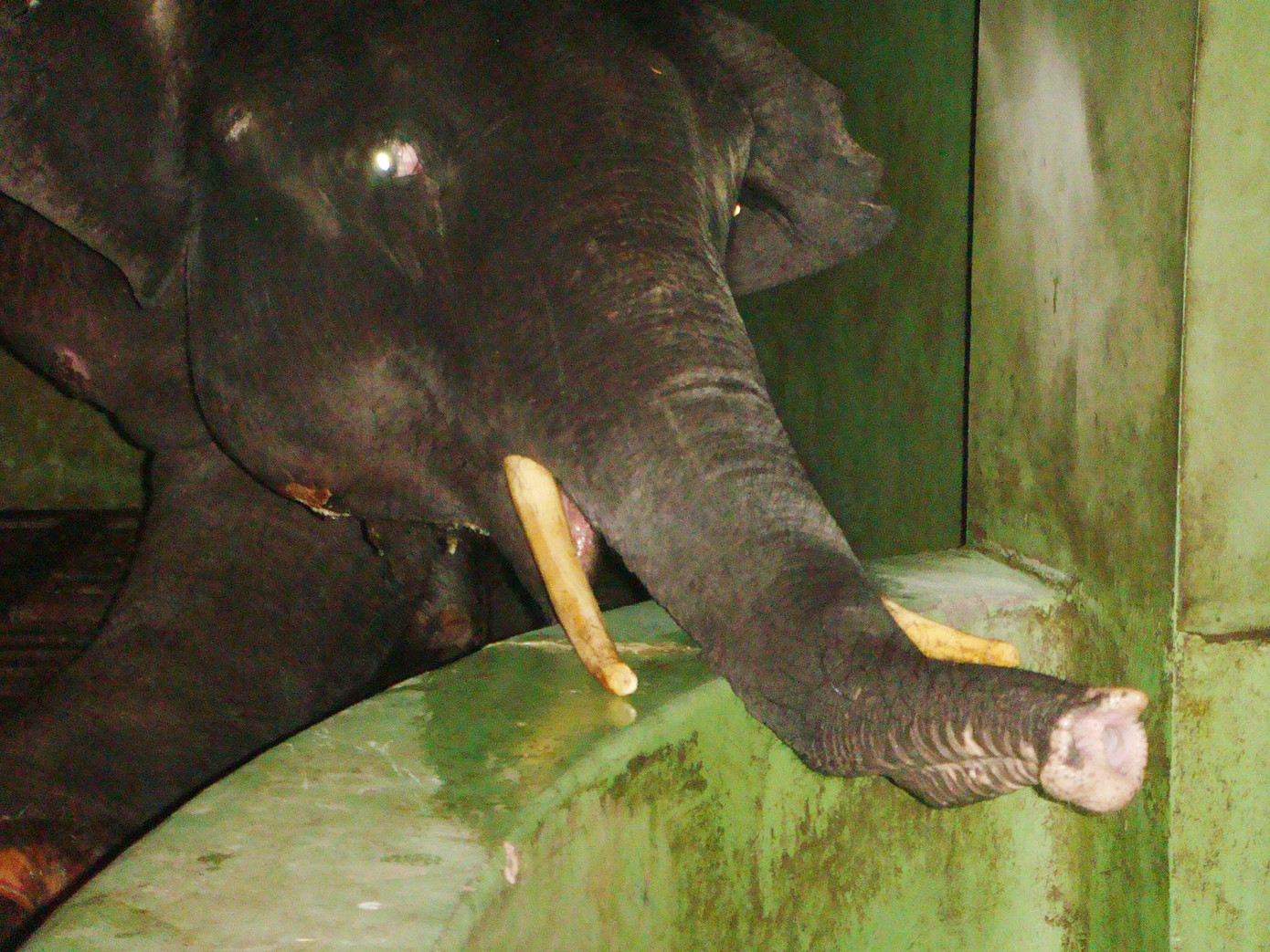 Ánh mắt Khăm Bun, bảy tiếng đồng hồ trước khi qua đời