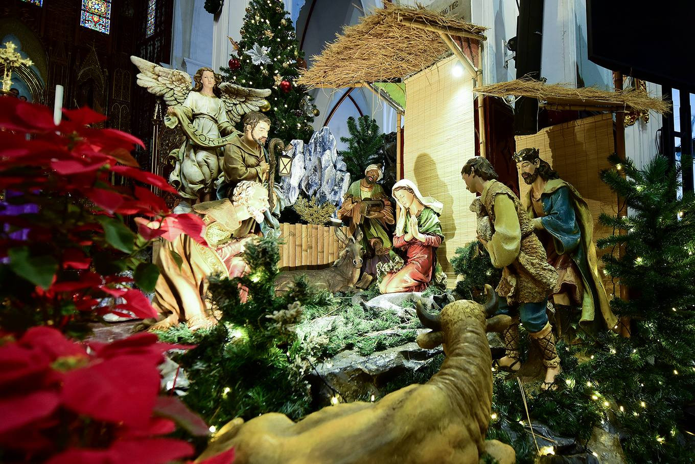 Người dân Hà Nội, TPHCM và nhiều thành phố đón Giáng sinh ảnh 52