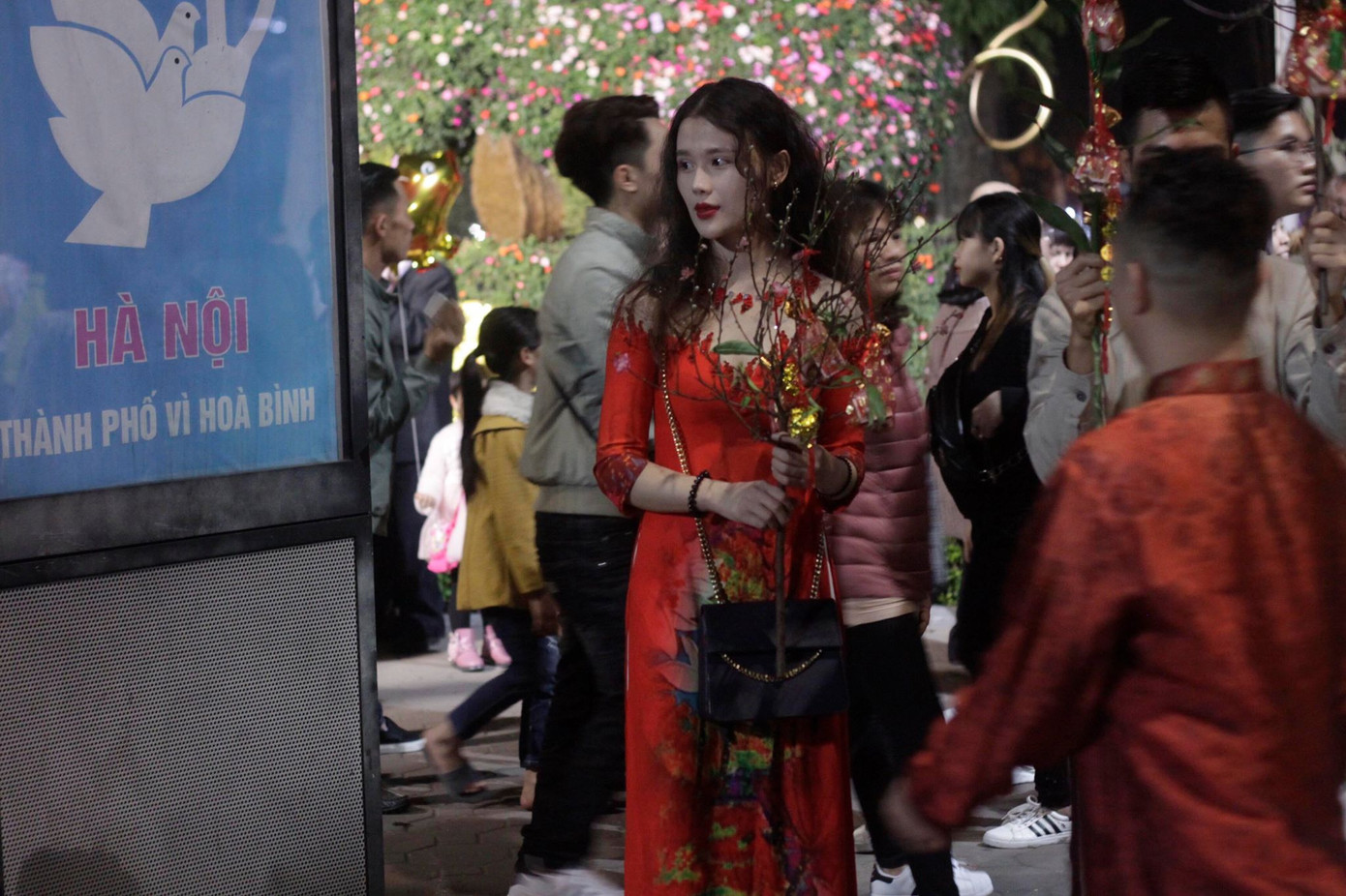 Pháo hoa rực sáng bầu trời chào đón năm mới Kỷ Hợi ảnh 22