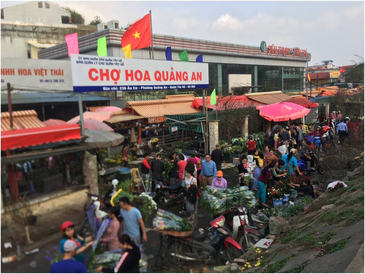 Pháo hoa rực sáng bầu trời chào đón năm mới Kỷ Hợi ảnh 72
