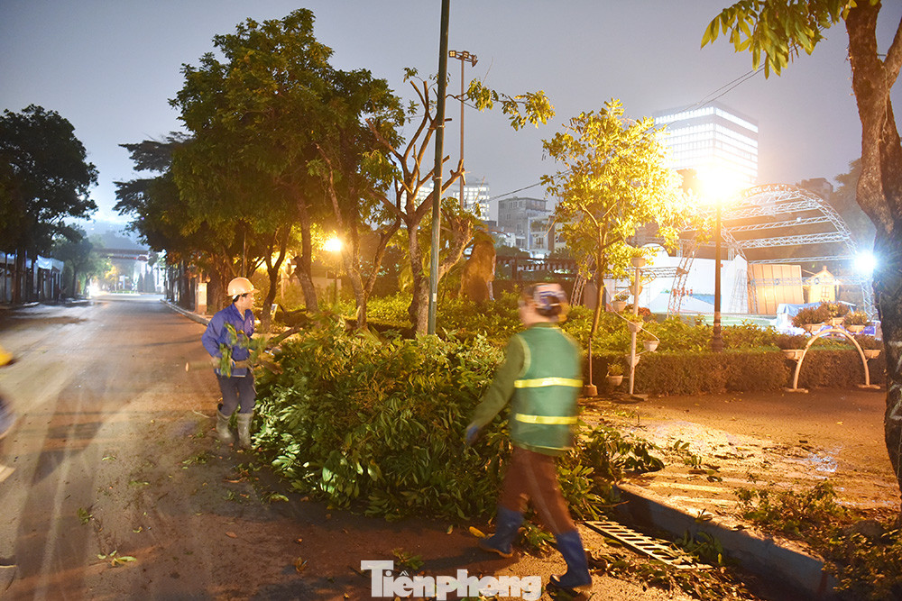 Các công nhân đang tiến hành cắt tỉa cành, sau đó sẽ đánh gốc di dời hàng cây nhãn về trồng cố định tại nút giao Vĩnh Ngọc, huyện Đông Anh (đường Võ Nguyên Giáp). Các công nhân đang tiến hành cắt tỉa cành, sau đó sẽ đánh gốc di dời hàng cây nhãn về trồng cố định tại nút giao Vĩnh Ngọc, huyện Đông Anh (đường Võ Nguyên Giáp).