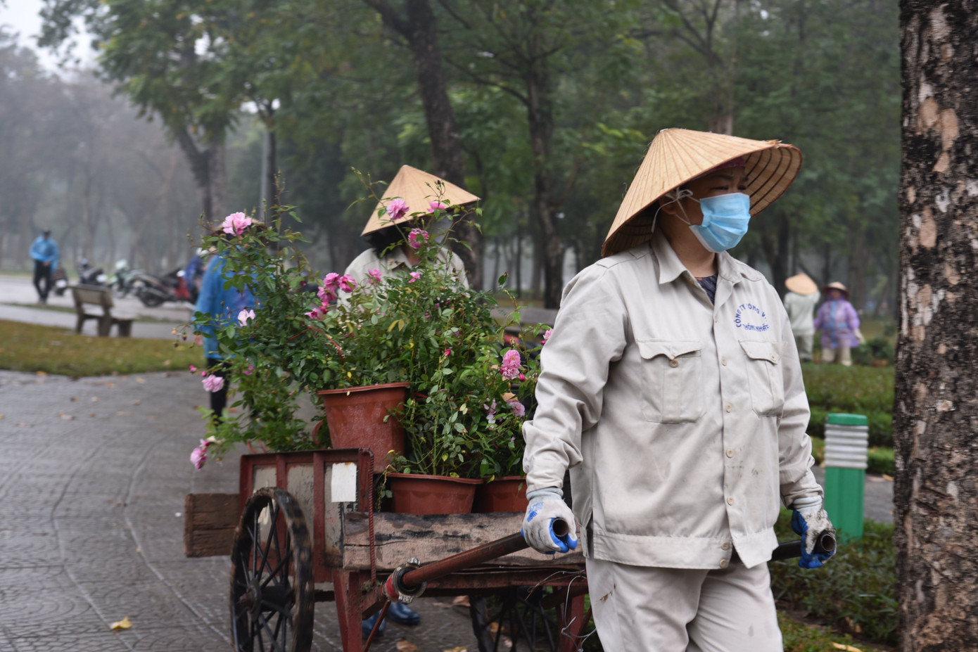 Được biết, mỗi công nhân đóng góp 1 ngày lương để hưởng ứng hoạt động trồng cây