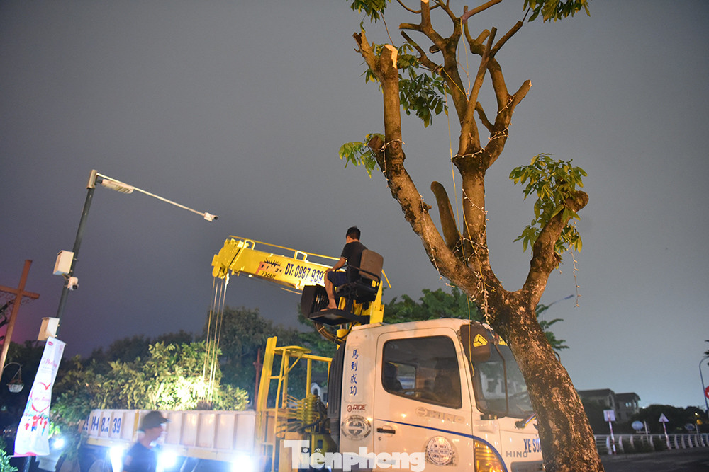 Thay thế vào vị trí cây di chuyển là 48 cây giáng hương đường kính 25-30 cm, chiều cao khoảng 8 m. Thay thế vào vị trí cây di chuyển là 48 cây giáng hương đường kính 25-30 cm, chiều cao khoảng 8 m.