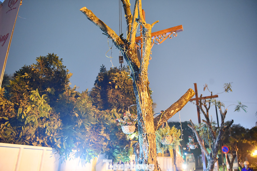 Ông Nguyễn Hữu Mạnh (60 tuổi, phường Nhật Tân) cho biết trước đây khi chưa có tên phố, ở đây vẫn là con đường đất được đặt tên là đường Rặng Nhãn. Có tên như vậy, do hàng chục năm trước người dân tự trồng tạo bóng mát nghỉ ngơi. Ông Mạnh và nhiều người dân bày tỏ đồng tình với kế hoạch di dời loạt cây nhãn bởi theo ông Mạnh, các cây nhãn không được chăm sóc đã già cỗi, sâu bệnh, không đồng bộ. Ông Nguyễn Hữu Mạnh (60 tuổi, phường Nhật Tân) cho biết trước đây khi chưa có tên phố, ở đây vẫn là con đường đất được đặt tên là đường Rặng Nhãn. Có tên như vậy, do hàng chục năm trước người dân tự trồng tạo bóng mát nghỉ ngơi. Ông Mạnh và nhiều người dân bày tỏ đồng tình với kế hoạch di dời loạt cây nhãn bởi theo ông Mạnh, các cây nhãn không được chăm sóc đã già cỗi, sâu bệnh, không đồng bộ.