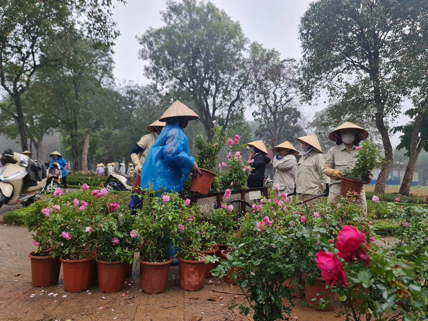 Đây là hoạt động hưởng ứng Tết trồng cây, đồng thời làm đẹp cho đoạn hàng rào trước đó đã bị dỡ bỏ