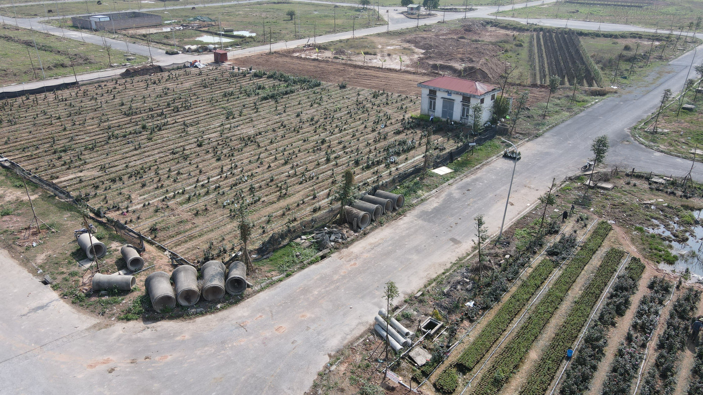 Một dự án bỏ hoang hơn chục năm tại huyện Mê Linh Một dự án bỏ hoang hơn chục năm tại huyện Mê Linh