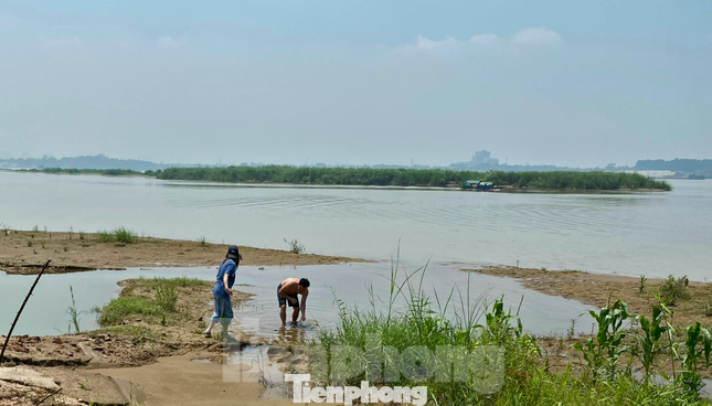 Khu vực bãi giữa sông Hồng.