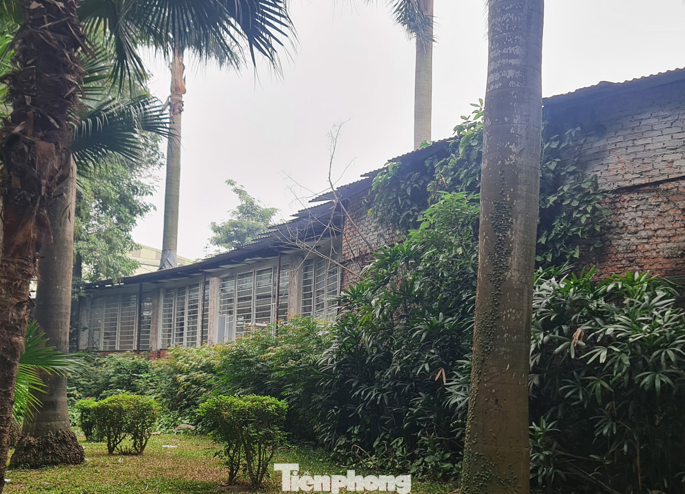 Trung tâm tiệc cưới Cung Đình xây dựng cả nghìn mét vuông không phép