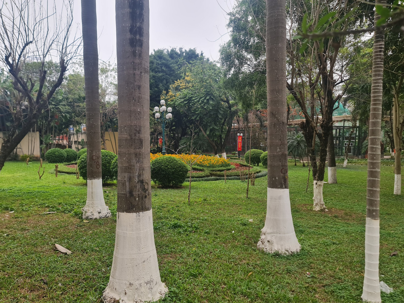 Hiện Công ty TNHH MTV vườn thú Hà Nội, đơn vị quản lý công viên, đề xuất mở rộng vườn thú ở khu cổng chính đường Bưởi và khu phía tây (đường Kim Mã - Cầu Giấy); tăng số chuồng từ 37 lên 42, sử dụng vốn ngoài ngân sách để xây khu động vật biển rộng trên 800 m2 với 1-2 tầng hầm.